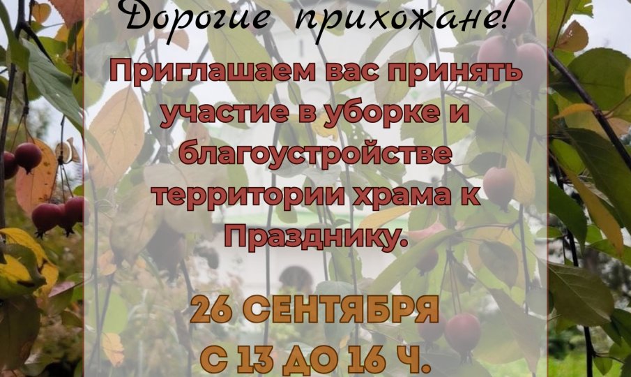 Уборка и благоустройство территории